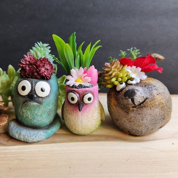 Faux Succulent Mystery Planter