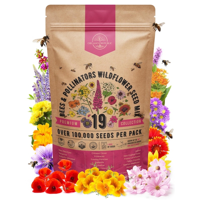 19 Bees & Pollinators Wildflower Seed Mix