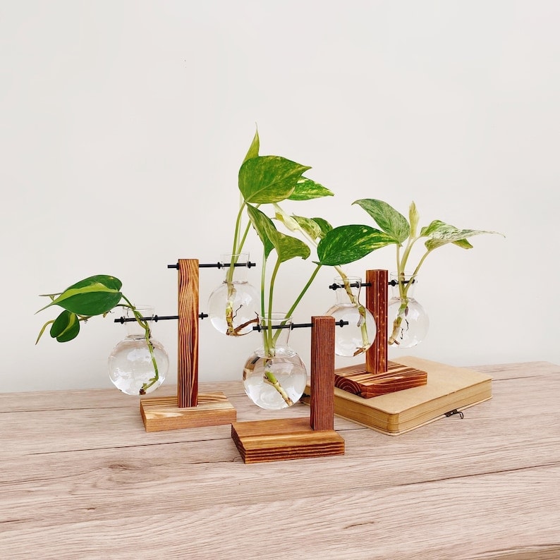 Plant Propagation Vase Gardening Planter Set Hydroponic Houseplant Stand