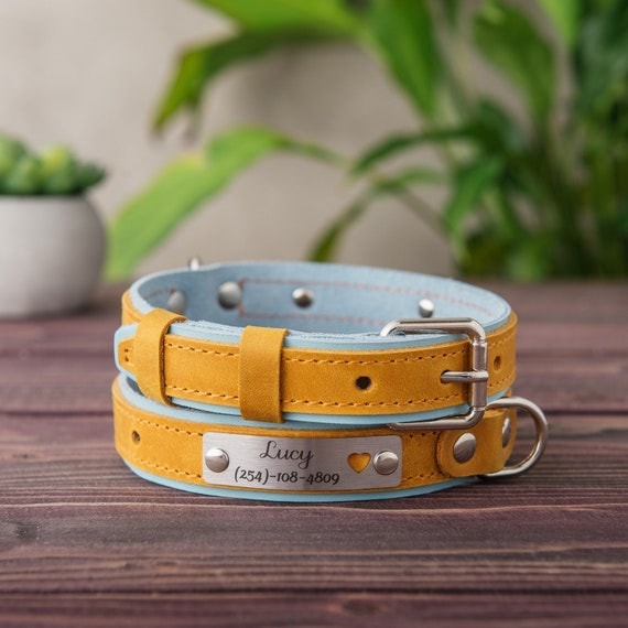 Personalized Leather Dog Collar